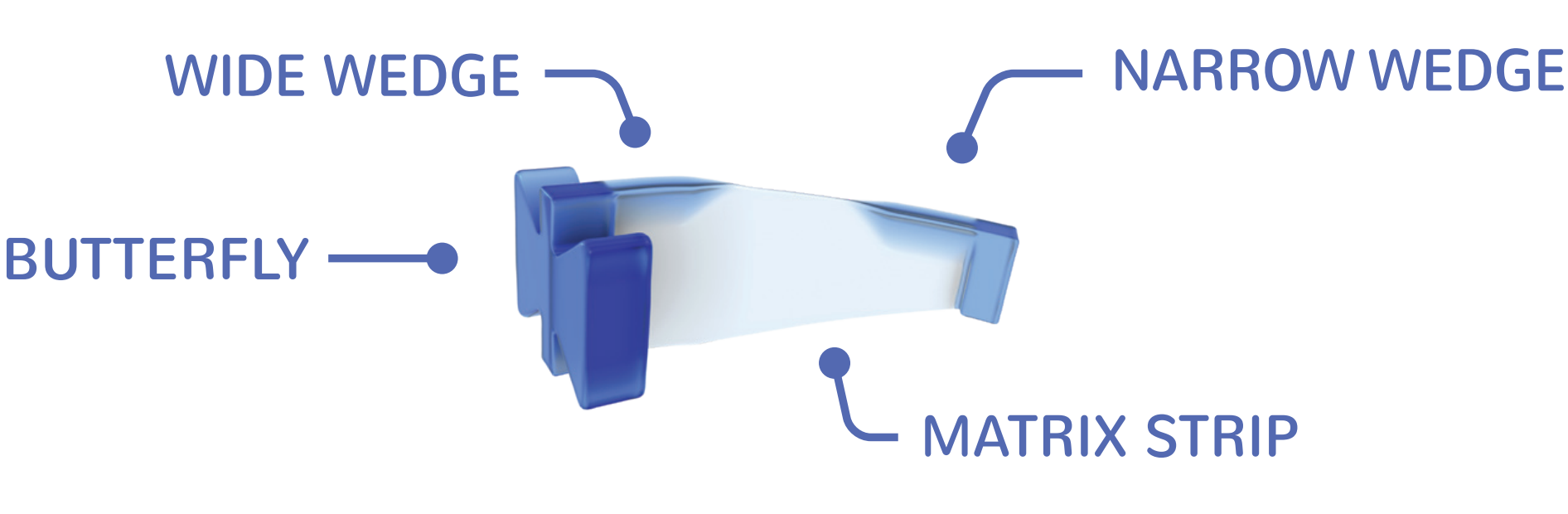 Labeled wedge image for home page
